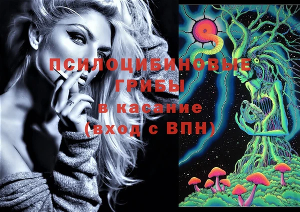 кокс Алзамай
