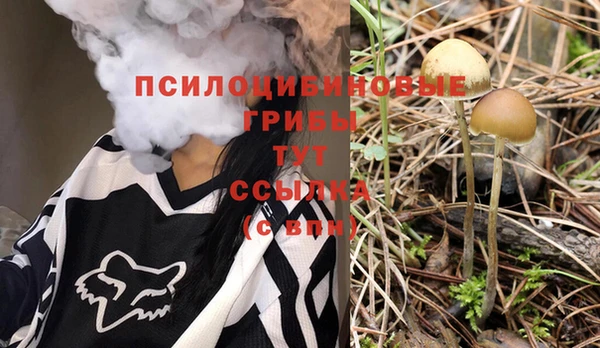 спиды Ростов