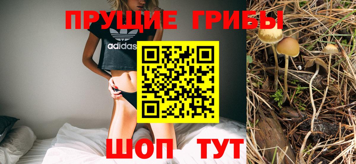 Балабаново  Псилоцибиновые грибы MAGIC MUSHROOMS  Псилоцибиновые грибы GOLDEN TEACHER  Вход с VPN 